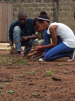 Grass planting