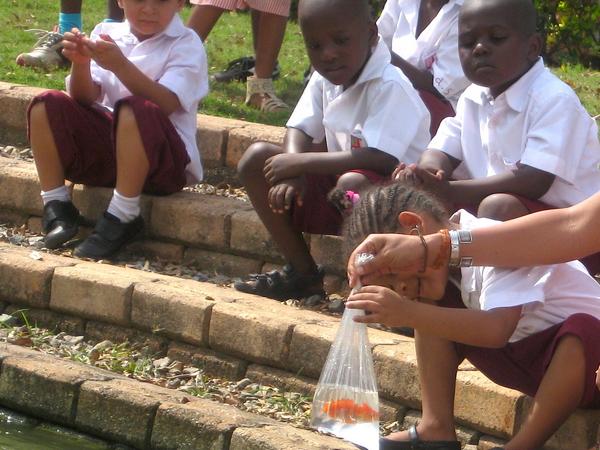 Macey named her goldfish Penny