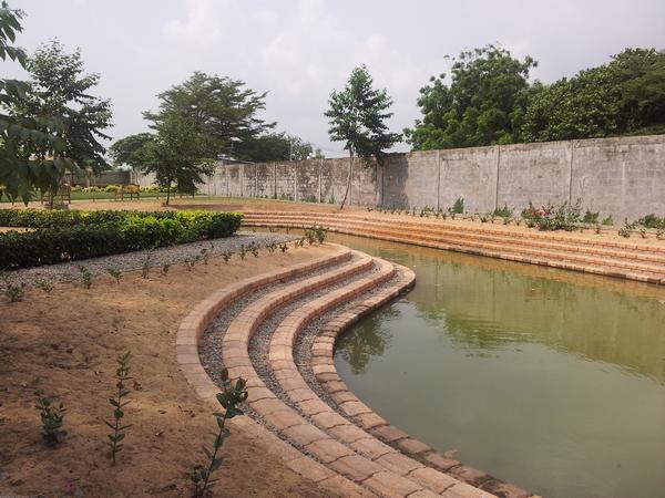 Pond filled with water