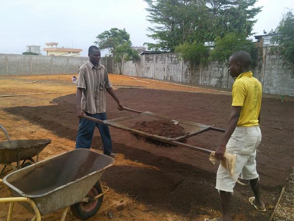 Sifting the top soil